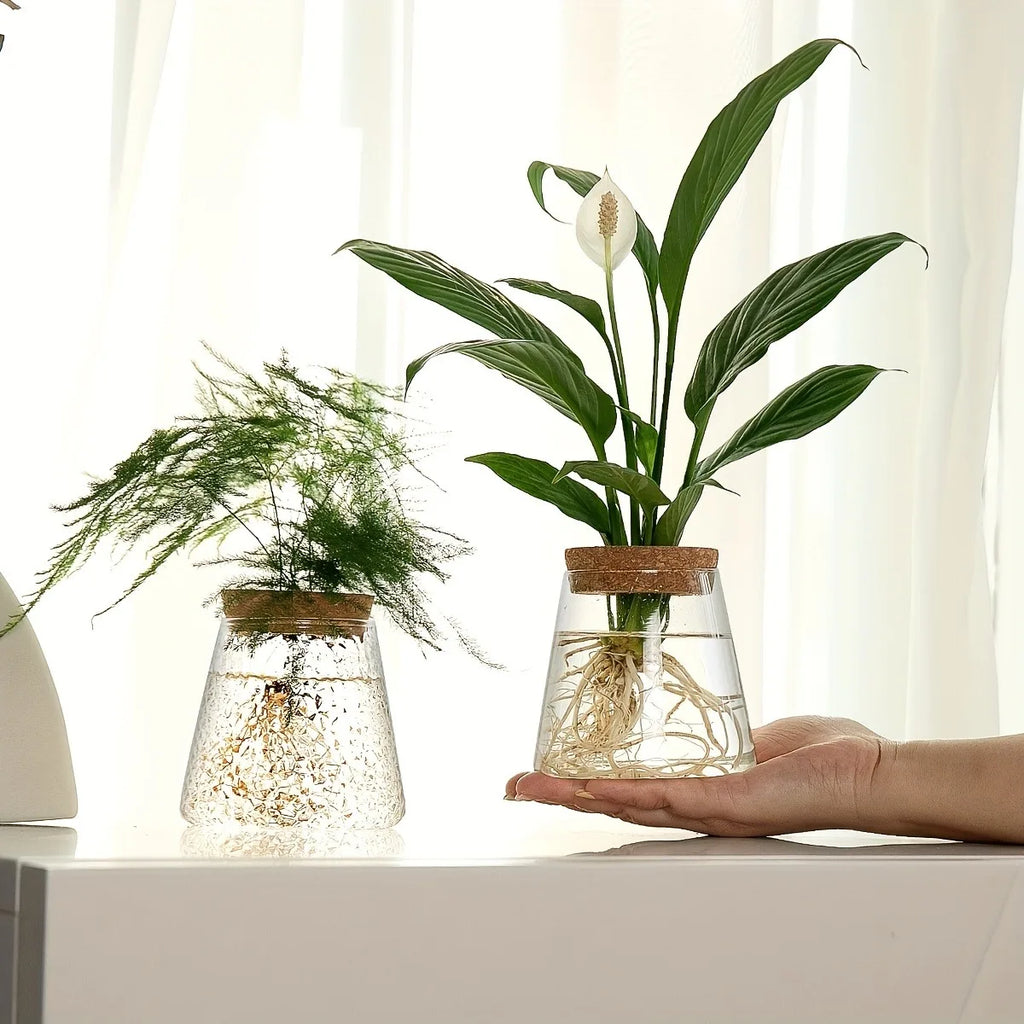 Clear glass propagation vases with cork lids displaying plant cuttings on a white desktop in bright natural light