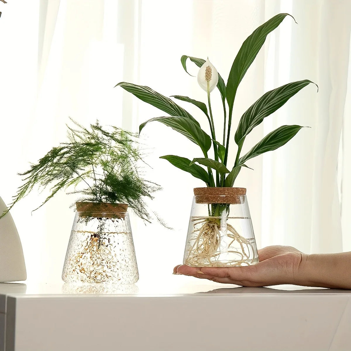 Clear glass propagation vases with cork lids displaying plant cuttings on a white desktop in bright natural light