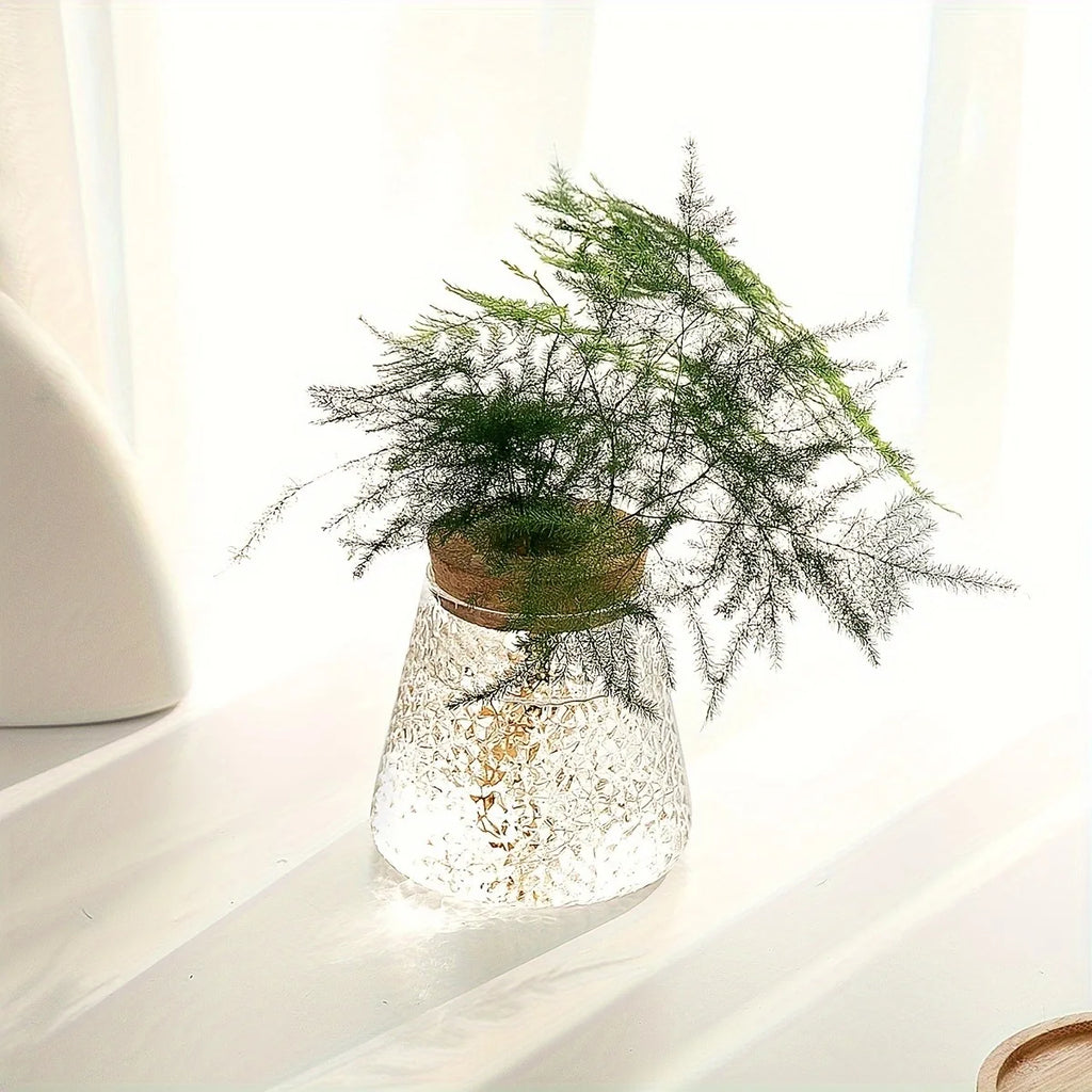 Textured clear glass propagation vase with cork lid and delicate greenery on a bright tabletop