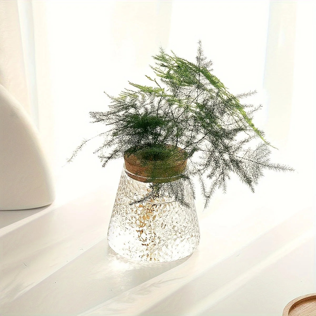 Textured clear glass propagation vase with cork lid and delicate greenery on a bright tabletop