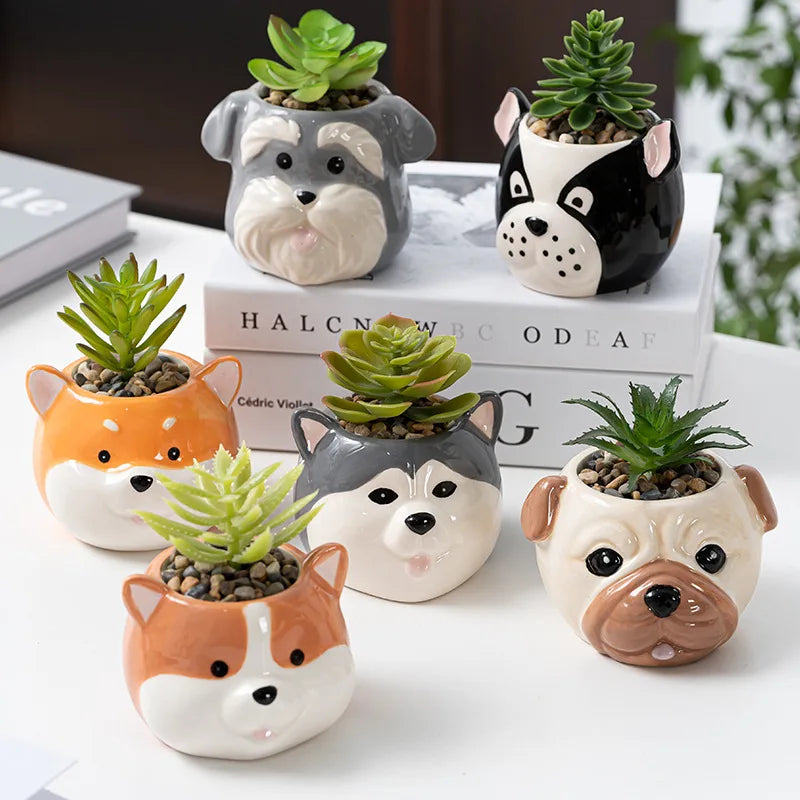Six dog face porcelain mini planters with succulents on a desk