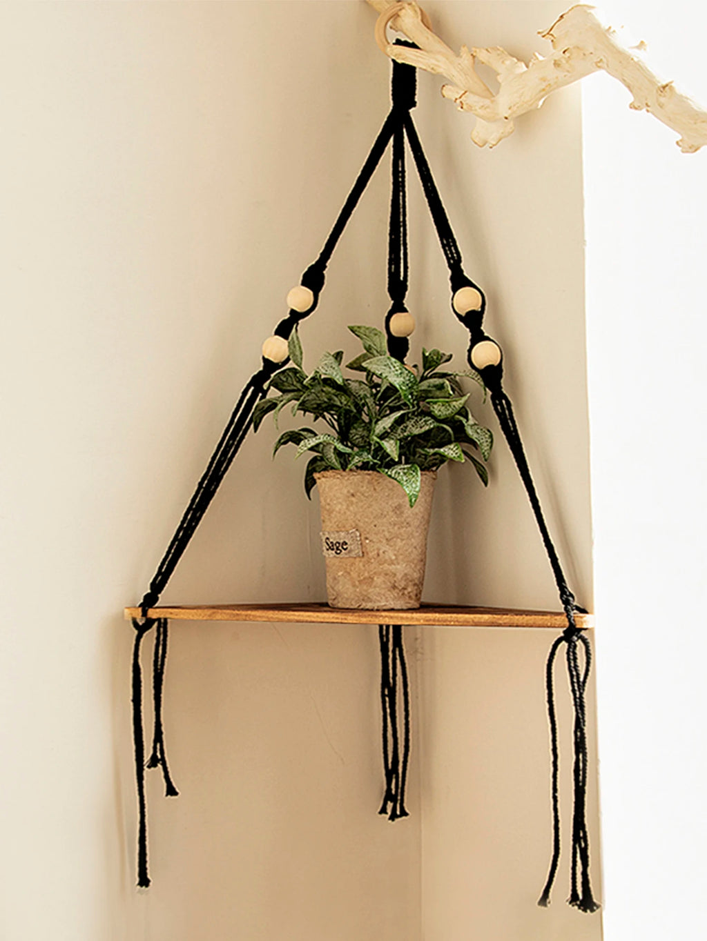 Single wooden corner shelf with black macrame cords, holding a plant in a pot