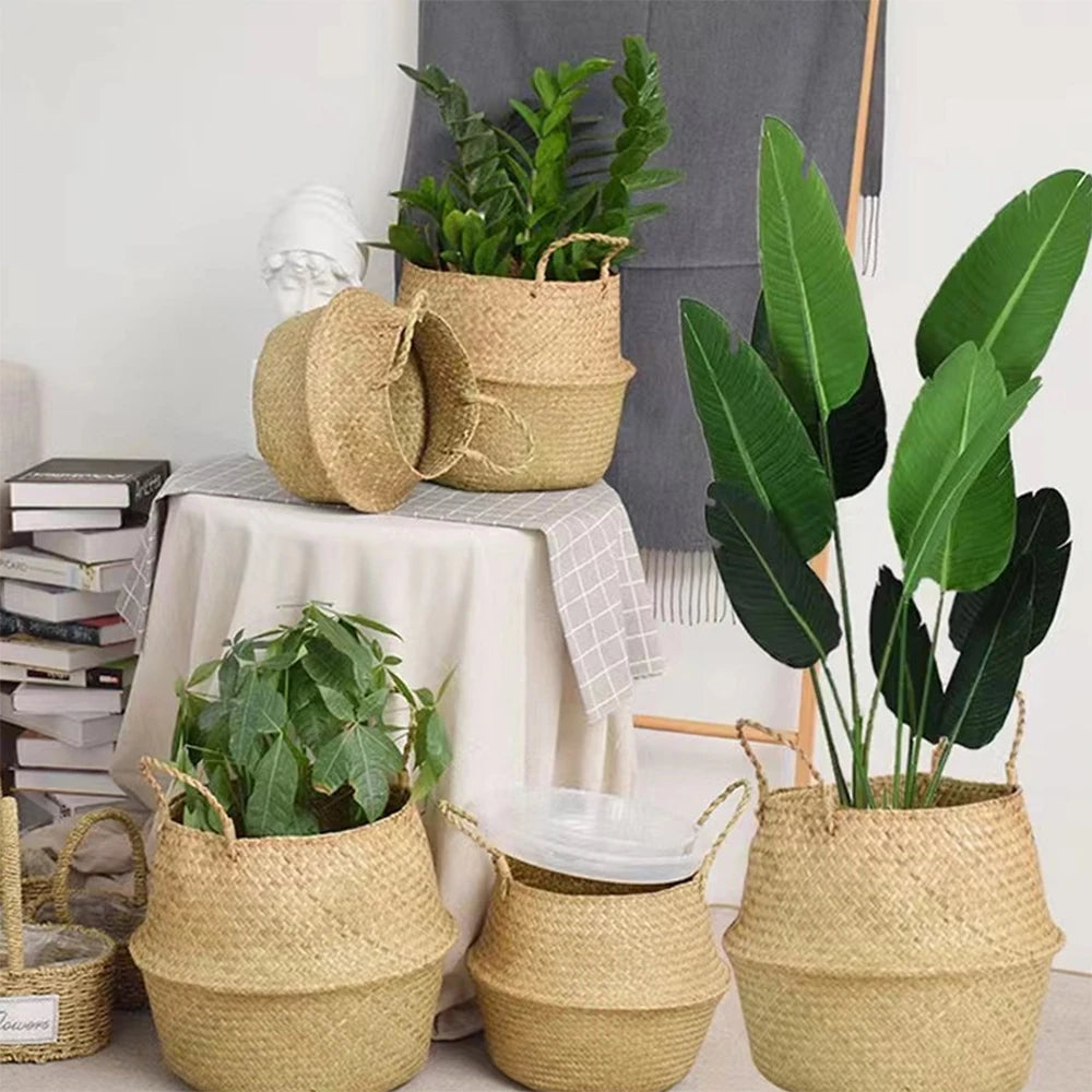 Handwoven seagrass baskets with handles in various sizes holding plants, grouped in a cozy living room scene