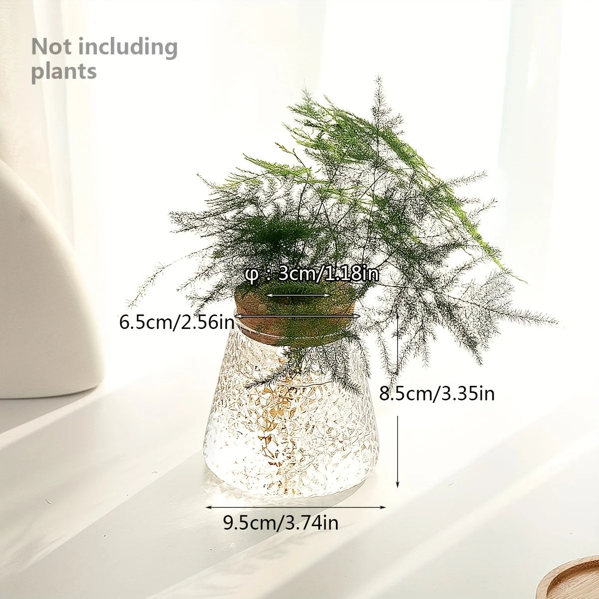 Tabletop Glass Propagation Vase with Cork Lid for Plant Cuttings