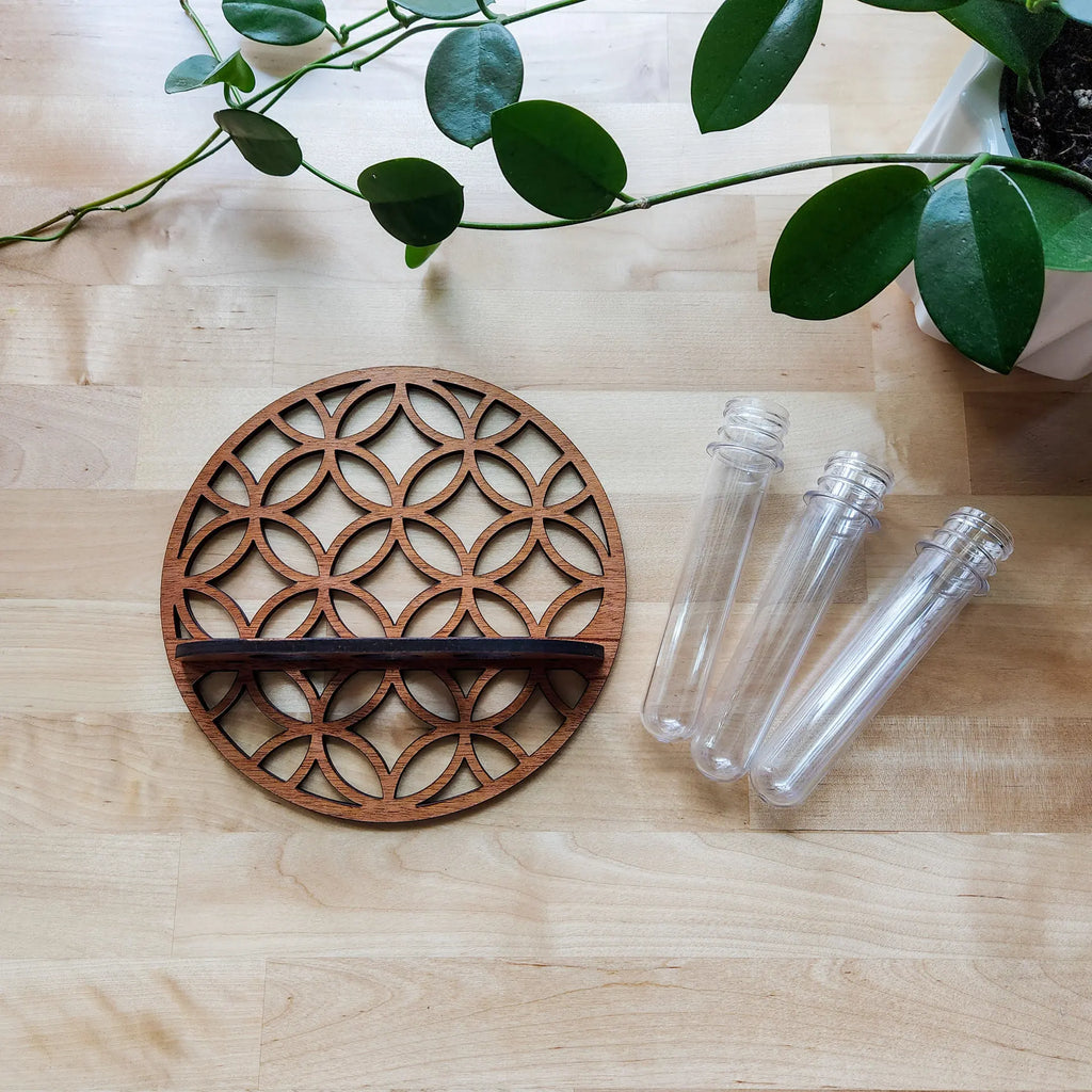Geometric wooden circle plant propagation station with separate clear test tubes on a wooden table