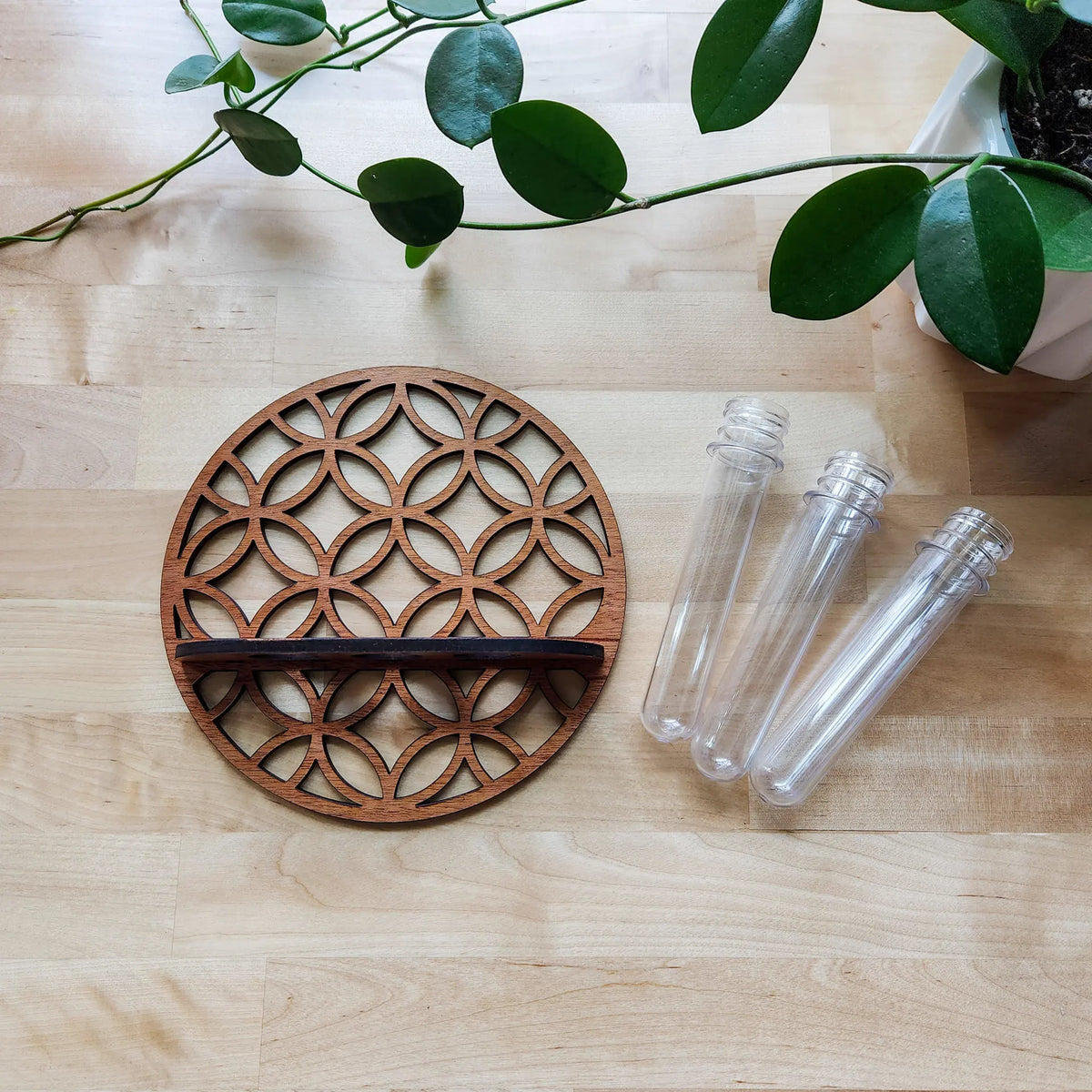 Geometric wooden circle plant propagation station with separate clear test tubes on a wooden table