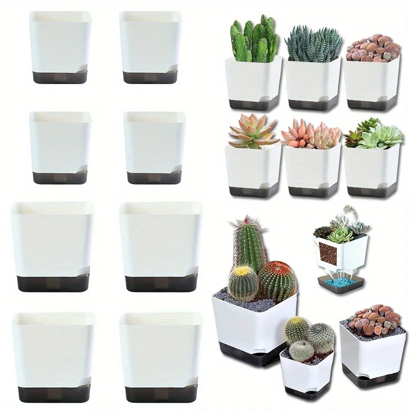 assorted five-pack of white square self watering planters with clear reservoir, shown empty and filled with succulents