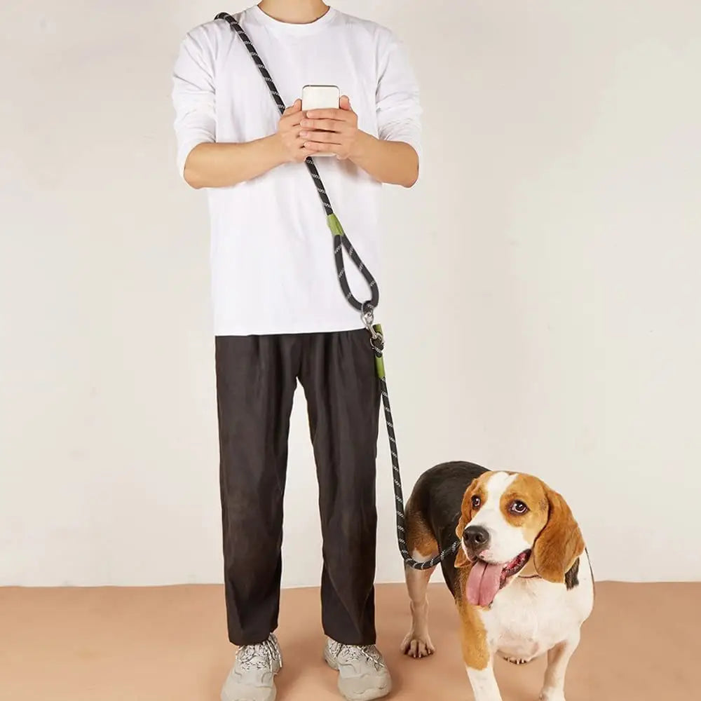 Hands-Free Double Dog Leash with Elastic Rope for Entryway & Walks
