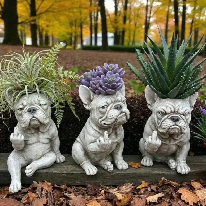 Three grumpy French bulldog resin planters with different succulents in a garden setting