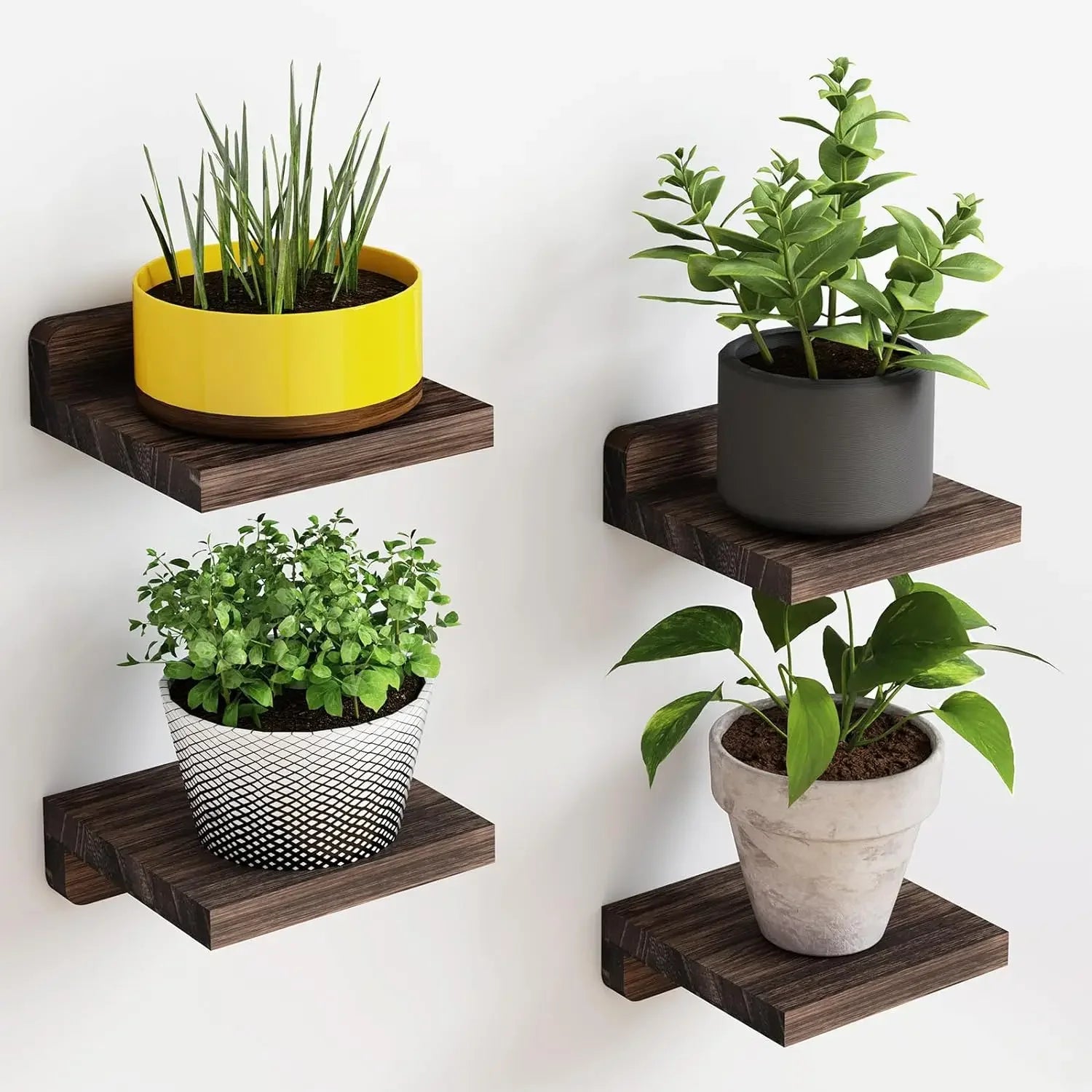 Set of 4 Mini Floating Wall Shelves – Small Display Ledges