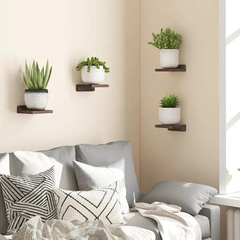 Mini floating wall shelves above a living room sofa holding potted plants.