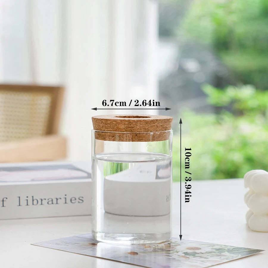 Modern Clear Acrylic Plant Propagation Station with Cork Lid for Desk or Shelf – Set of 2, 4, or 6 Jars
