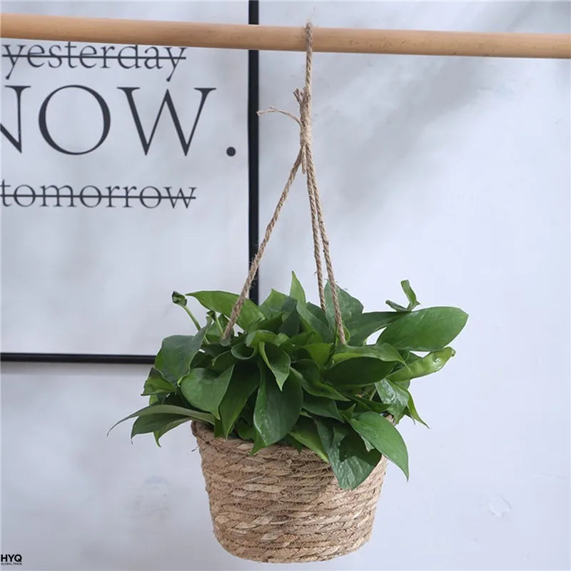 Single woven jute hanging basket planter with trailing green plant, hung on a rod in a bright room