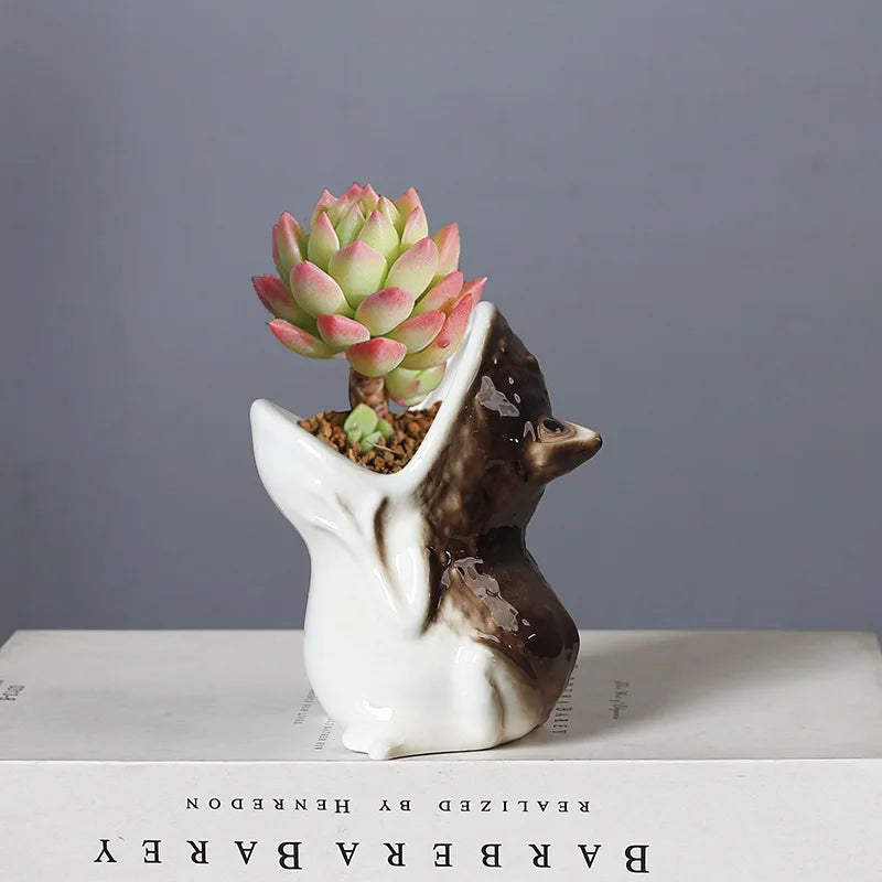 Brown and white ceramic frog planter with a succulent, on a book