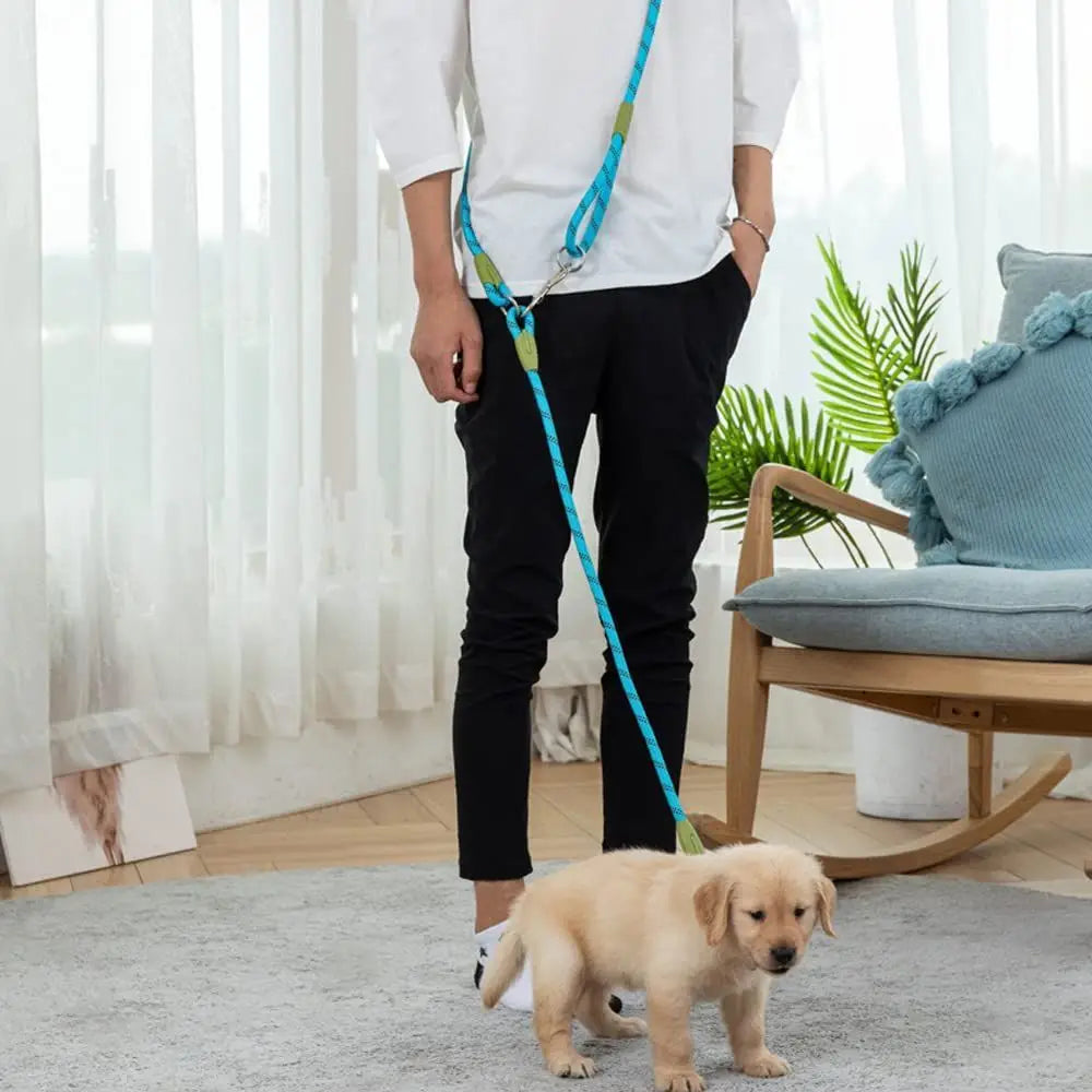 Person with a blue hands-free dog leash walking a puppy in a living room