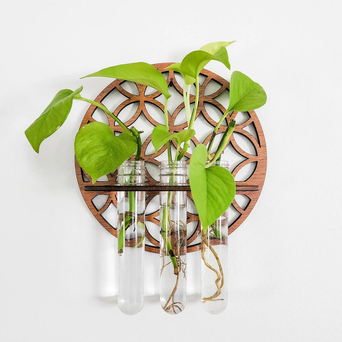 Luna Botanica Wall-Mounted Wooden Propagation Station – Moon Phase & Geometric Plant Terrariums for Bedroom, Bathroom, or Office