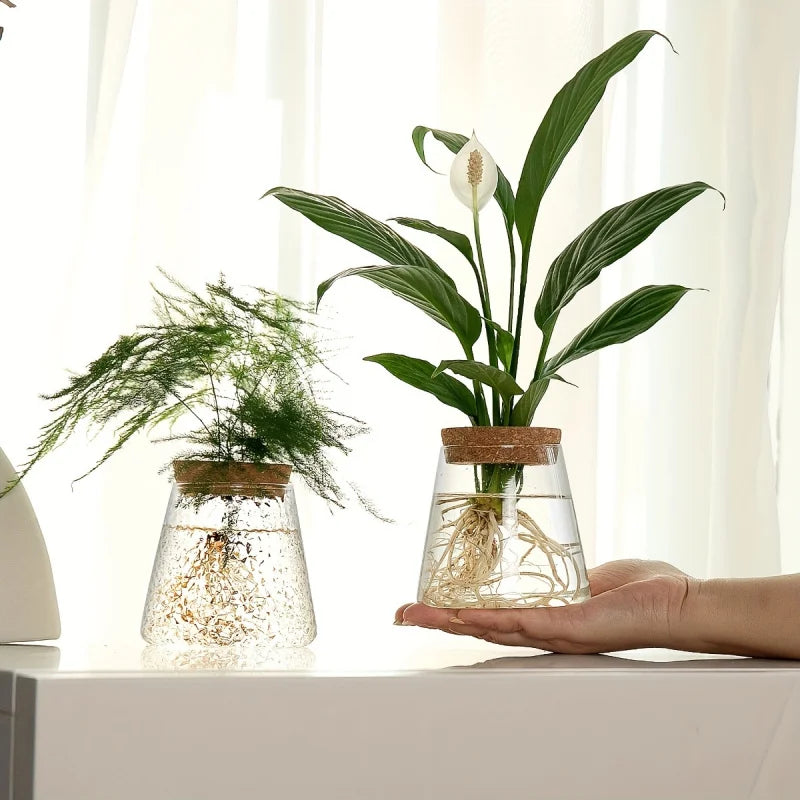 Hand presenting glass propagation vase with cork lid and plant cutting next to a second vase on a white surface