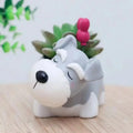 Adorable grey and white schnauzer dog-shaped mini planter with succulent on desktop