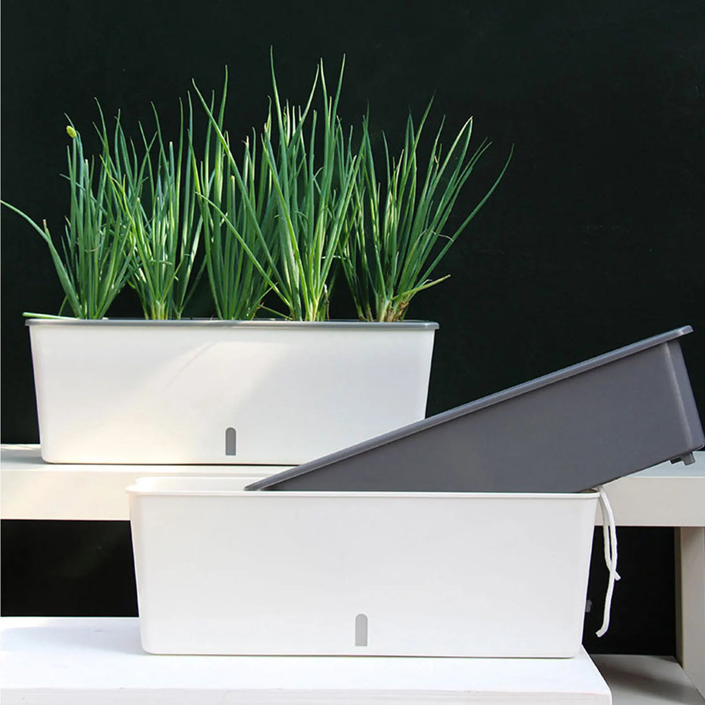 Self-Watering Planter Box with Water Level Indicator – Indoor Modern Window Sill Pot