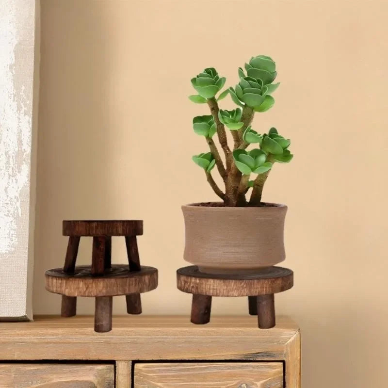 Two dark wooden plant stands on a shelf; one holding a small succulent pot.