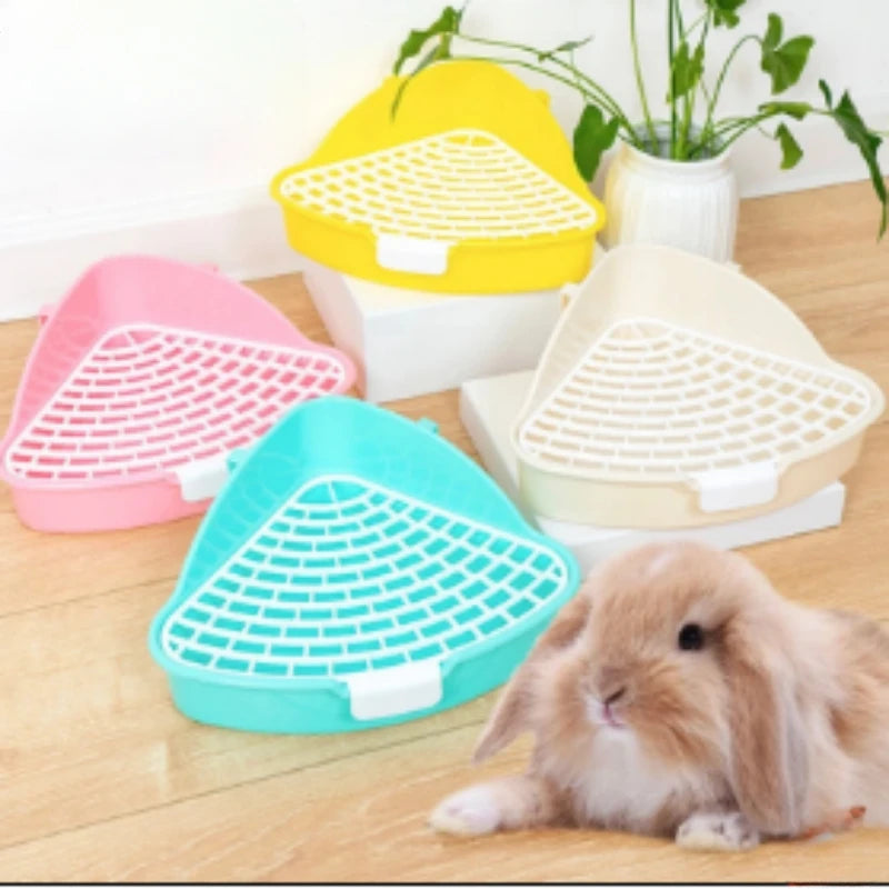 Four corner litter trays in pastel colors with a rabbit nearby