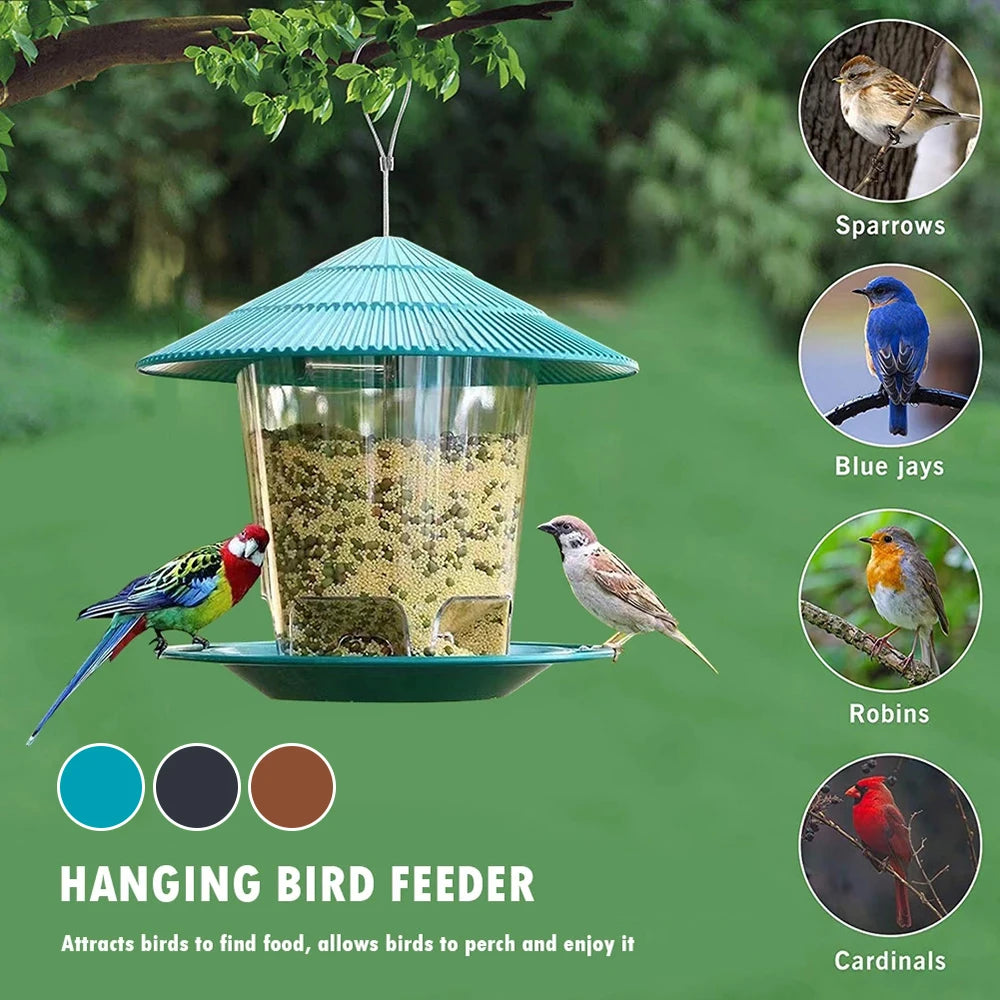 Blue plastic hanging bird feeder in a garden, with circles showing sparrows, blue jays, robins, cardinals, and feeder color options