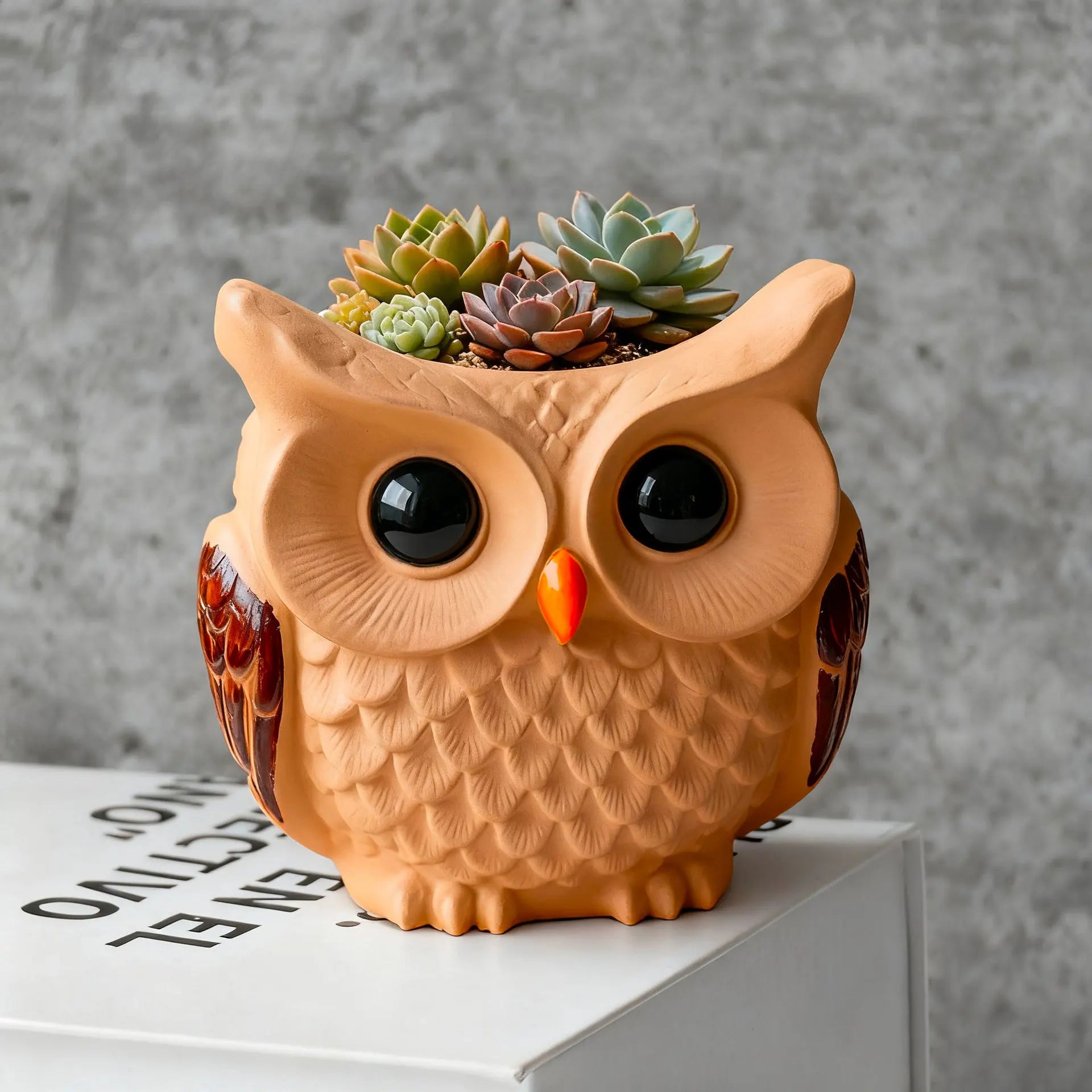 Finished owl planter with succulents on tabletop