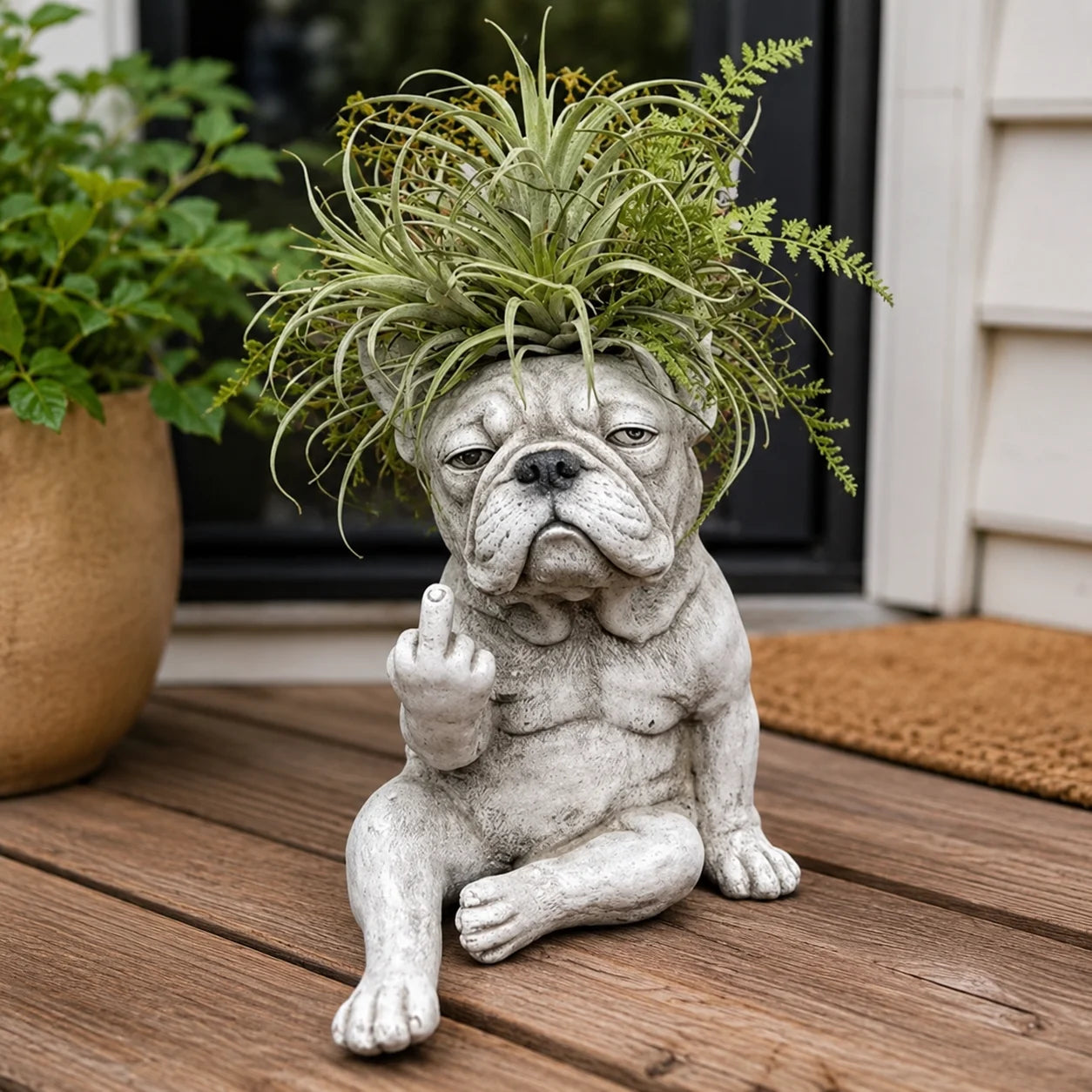 Grumpy French bulldog resin planter with air plant on patio
