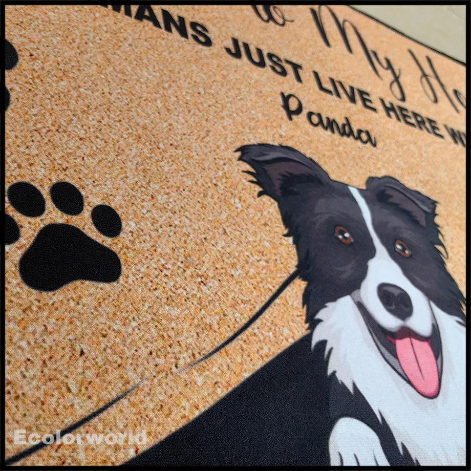 Custom Pet Name Doormat – Personalized Cat & Dog Entryway Mat