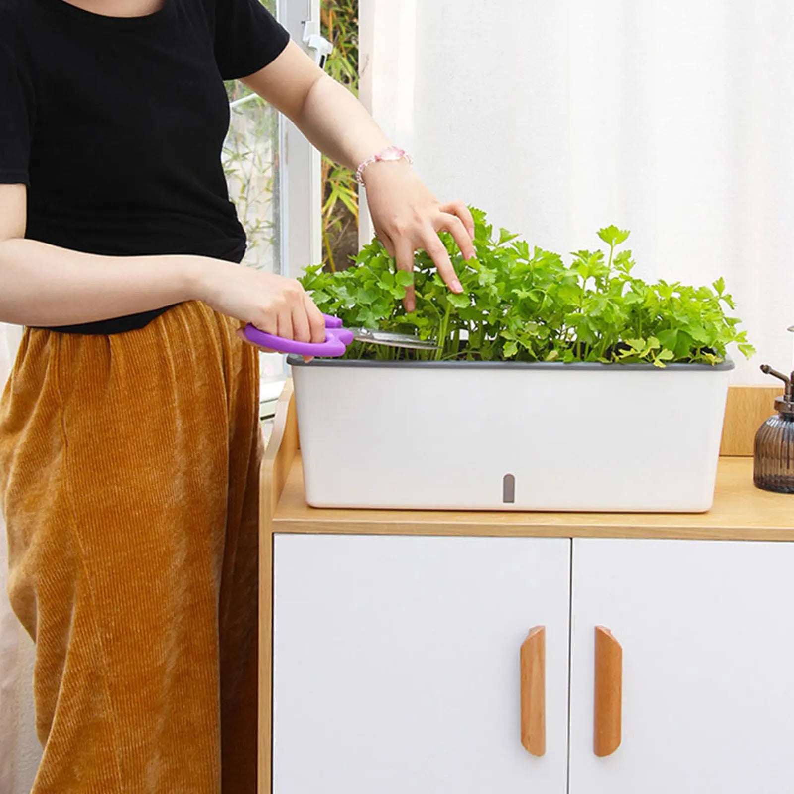 Person trimming green herbs growing in a self-watering planter box on a sunny indoor counter