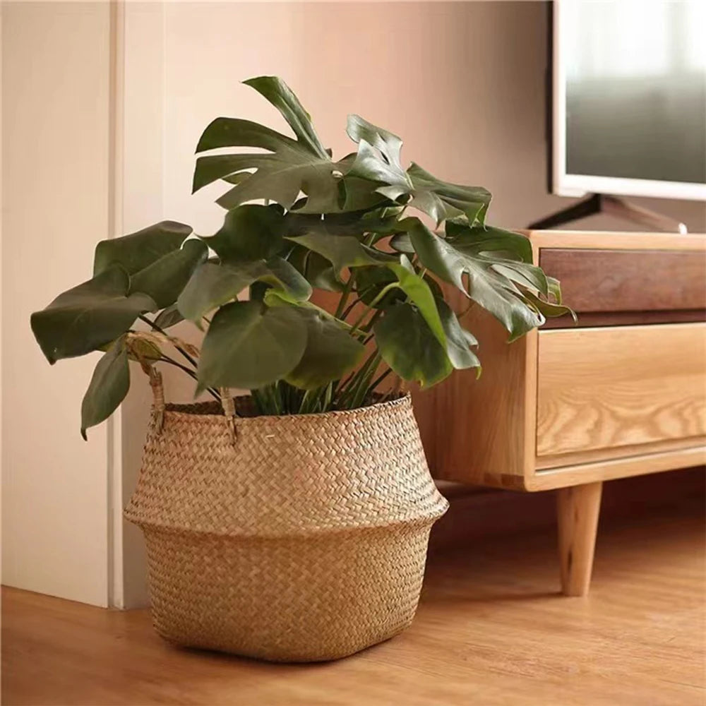 Large leafy houseplant in a handwoven seagrass basket next to a wooden TV console in a living room