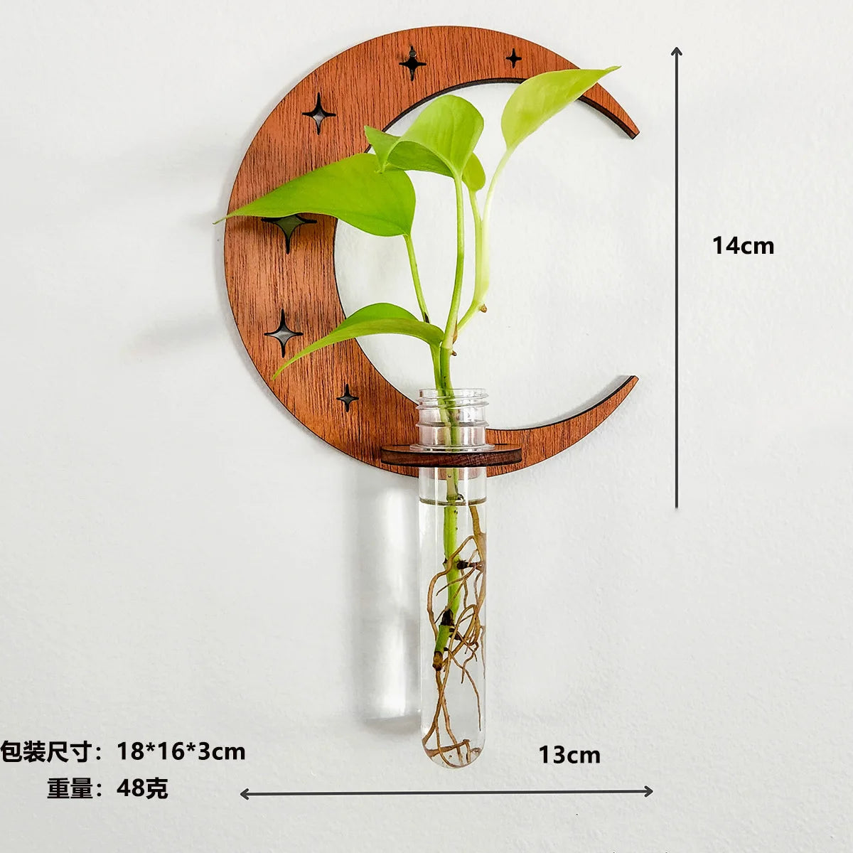 Luna Botanica Wall-Mounted Wooden Propagation Station – Moon Phase & Geometric Plant Terrariums for Bedroom, Bathroom, or Office