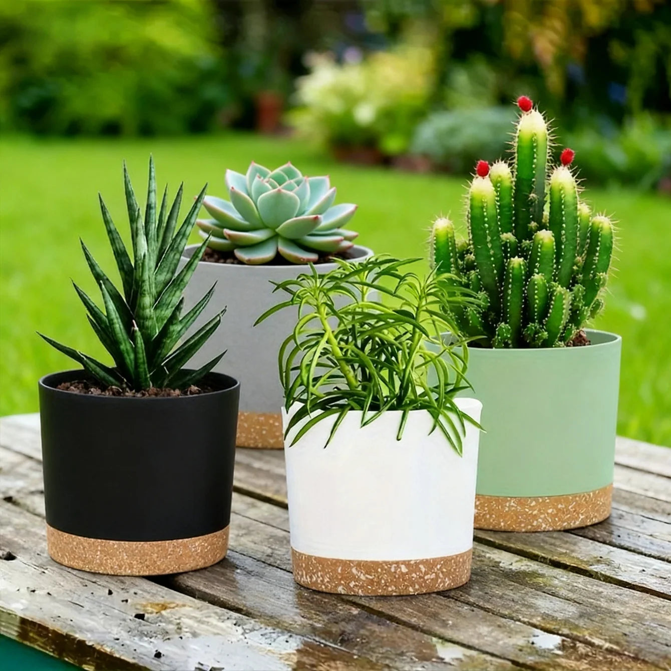Set of modern plastic planters in black, white, and green with removable saucer, arranged outdoors with succulents and cacti