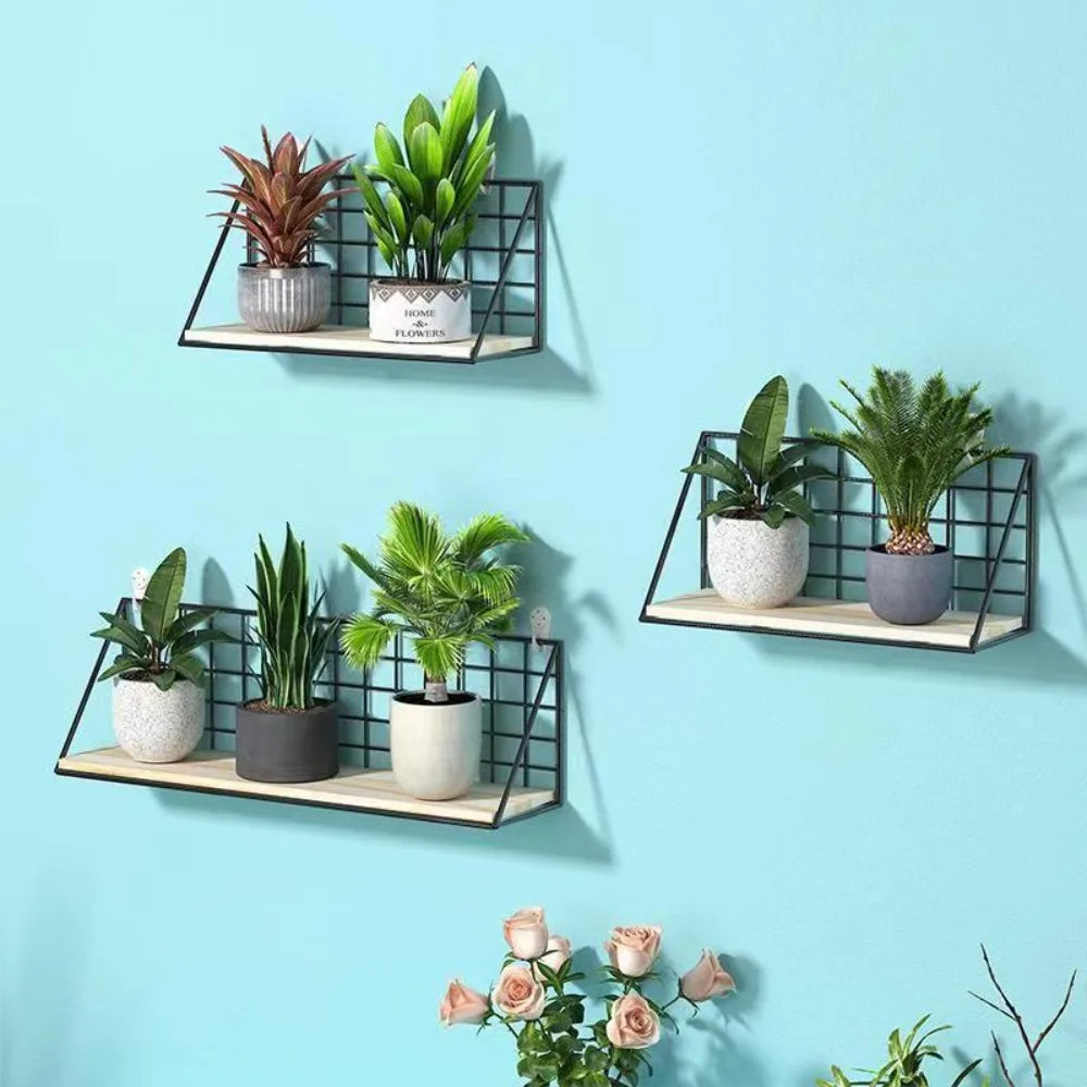 Three black grid wall shelves on a blue wall displaying potted plants and flowers