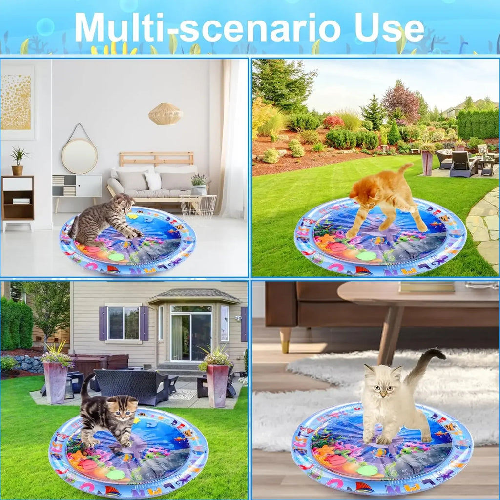 collage of cats using ocean-themed water play mat in indoor and outdoor spaces