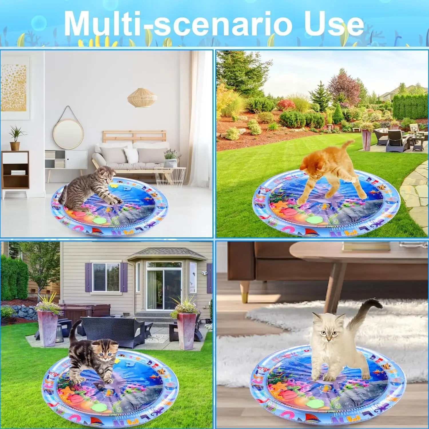 collage of cats using ocean-themed water play mat in indoor and outdoor spaces