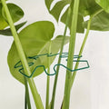 Monstera-Leaf Wire Plant Support Ring for Indoor and Outdoor Pots