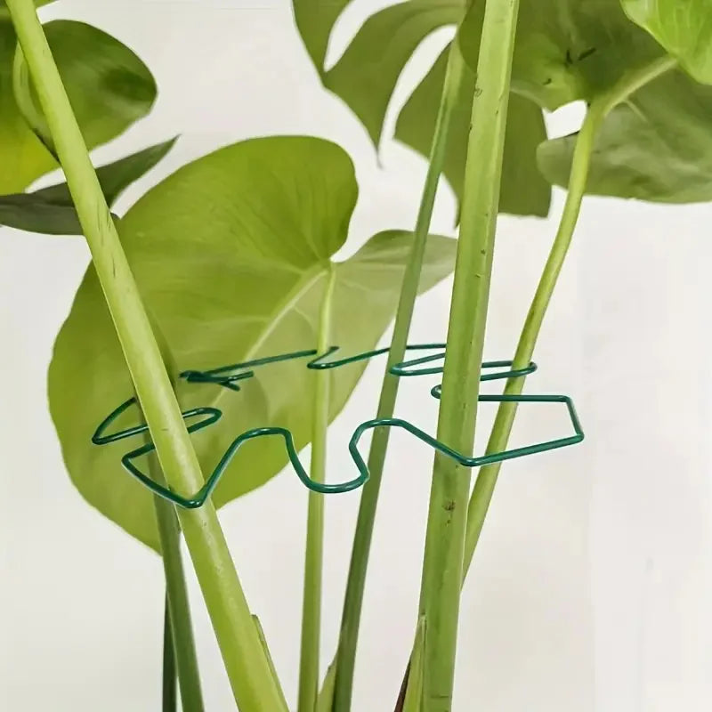 Monstera-Leaf Wire Plant Support Ring for Indoor and Outdoor Pots
