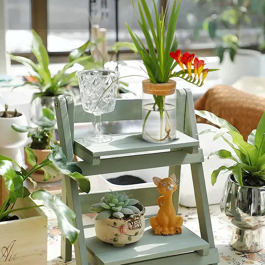 Modern Clear Acrylic Plant Propagation Station with Cork Lid for Desk or Shelf – Set of 2, 4, or 6 Jars