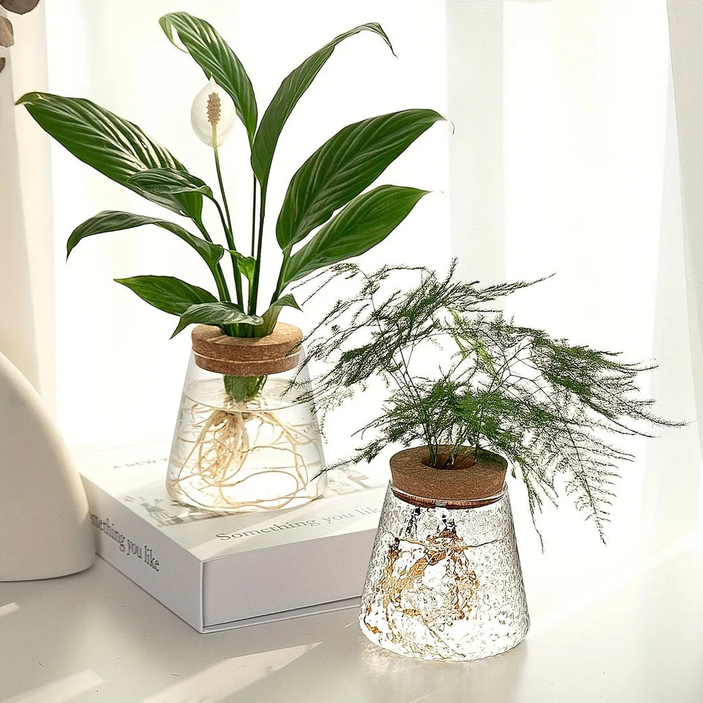 Two glass propagation vases with cork lids, each holding a leafy green plant cutting, on a sunlit surface with a book